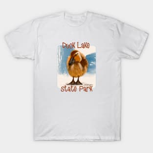 Duck Lake State Park, Michigan T-Shirt